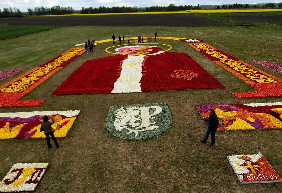 Żuławski Tulipan 2014