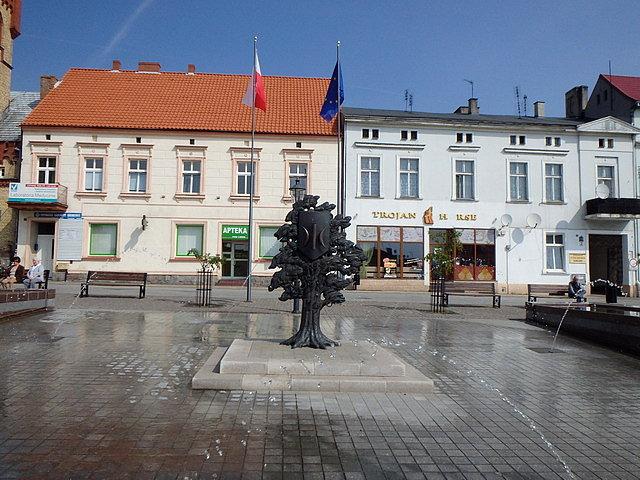 Fontanna na rynku z herbem Świecia