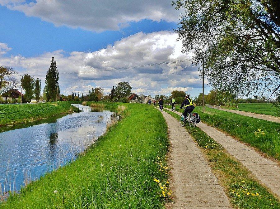 Żuławski Tulipan. Na trasie
