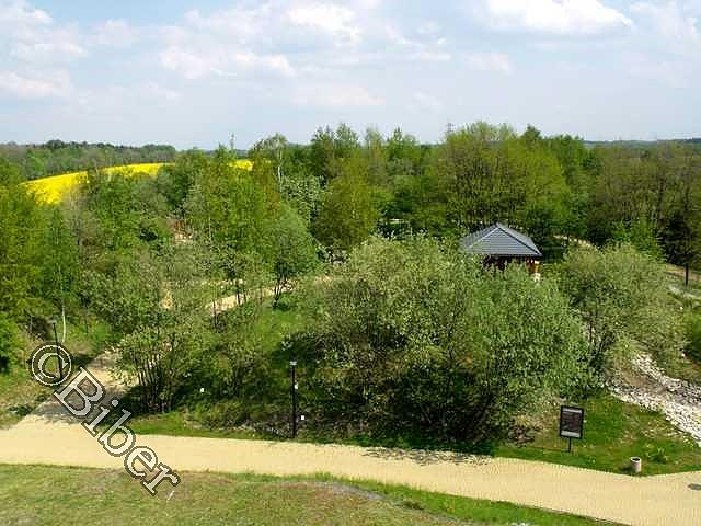 Śląski Ogród Botaniczny