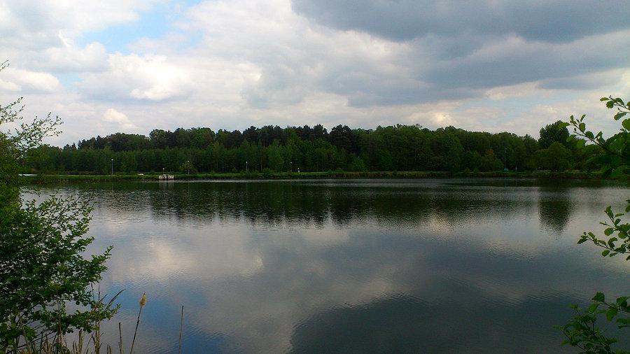 Gwaruś Suszec