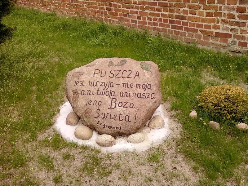 Cytat z Żeromskiego