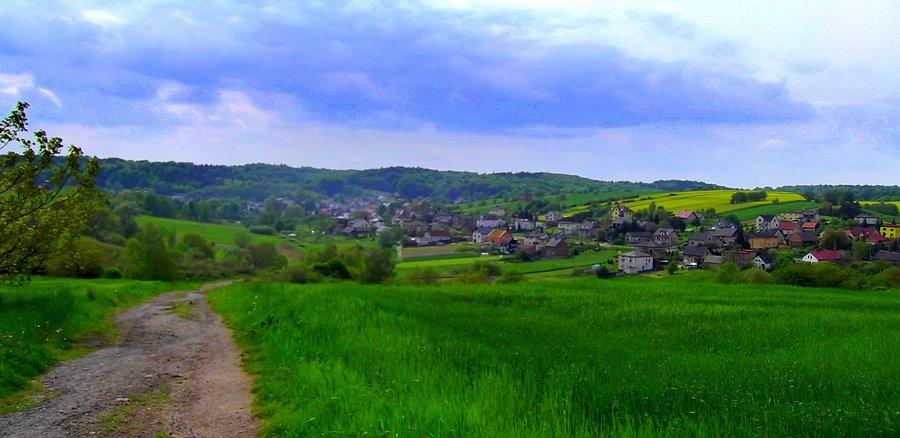 Pszowskie Doły
