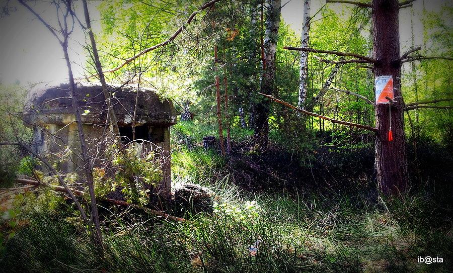 Podbuczyny - kochbunker - pkt nr 13