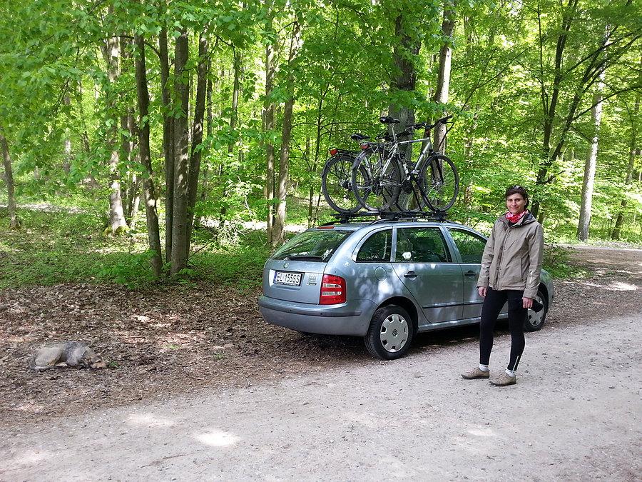 Rowery na Skoda Fabia Combi