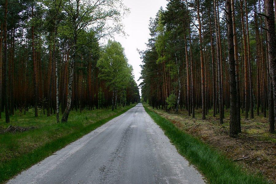 Rowerową autostradą z Sowna do Wielgowa :)