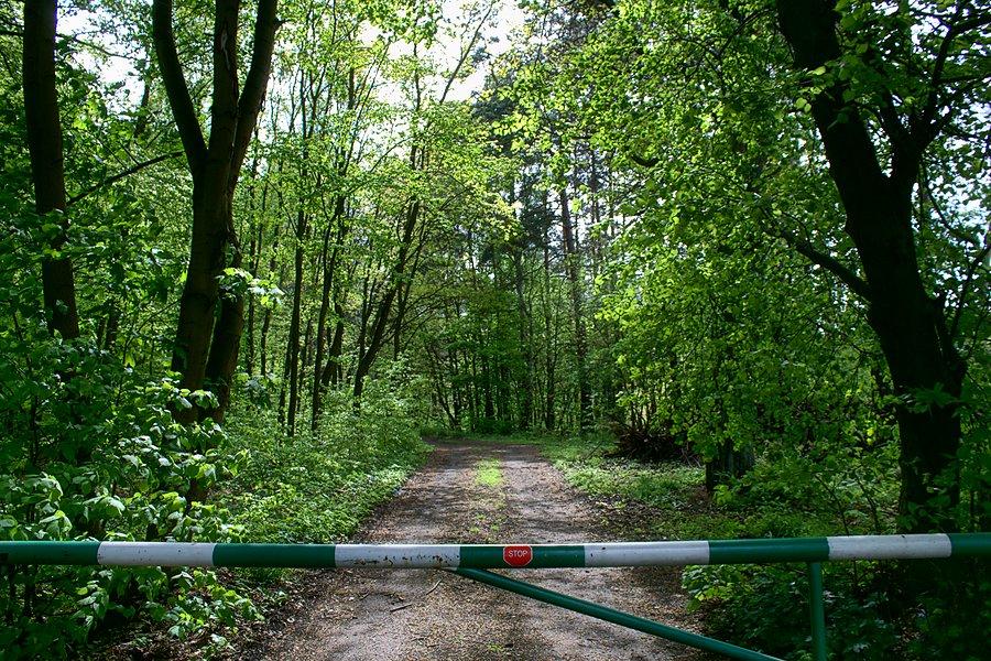 Jak najszybciej z 10 na Relaksową uciekałem