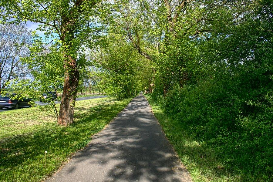 DDRka z Kobylanki nad Miediwe ma też swój urok