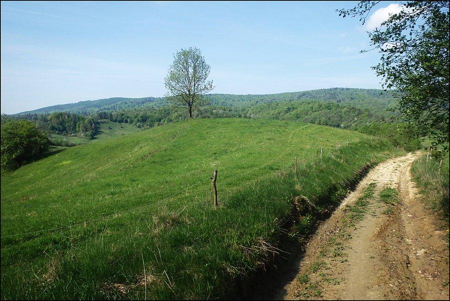 Polanka