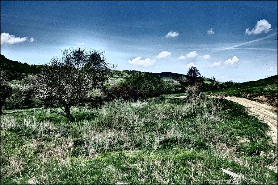 Bieszczadzka panoramka