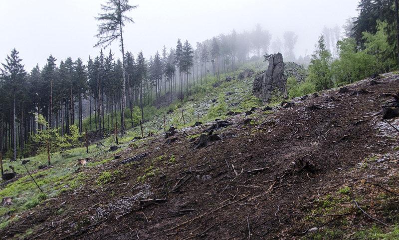 Poranek w górach