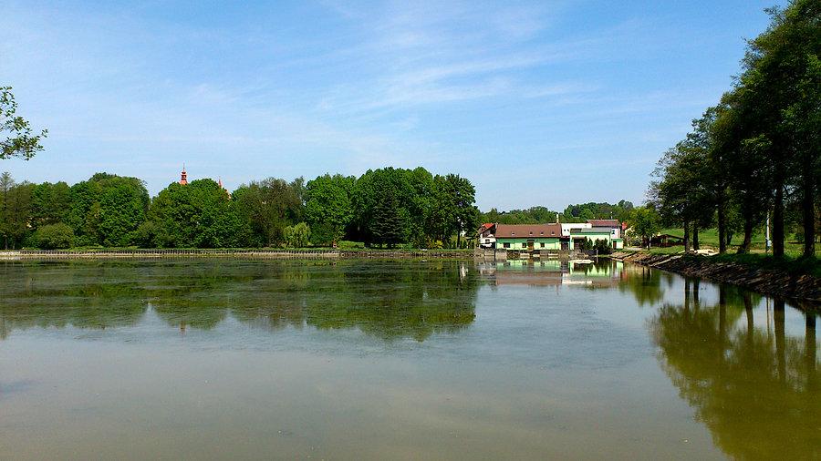 Staw w Petrovicach