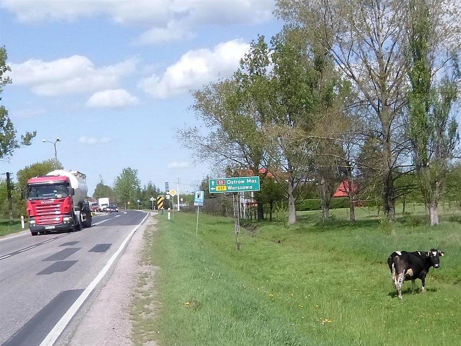 Droga krajowa nr. 50 Stanisławów