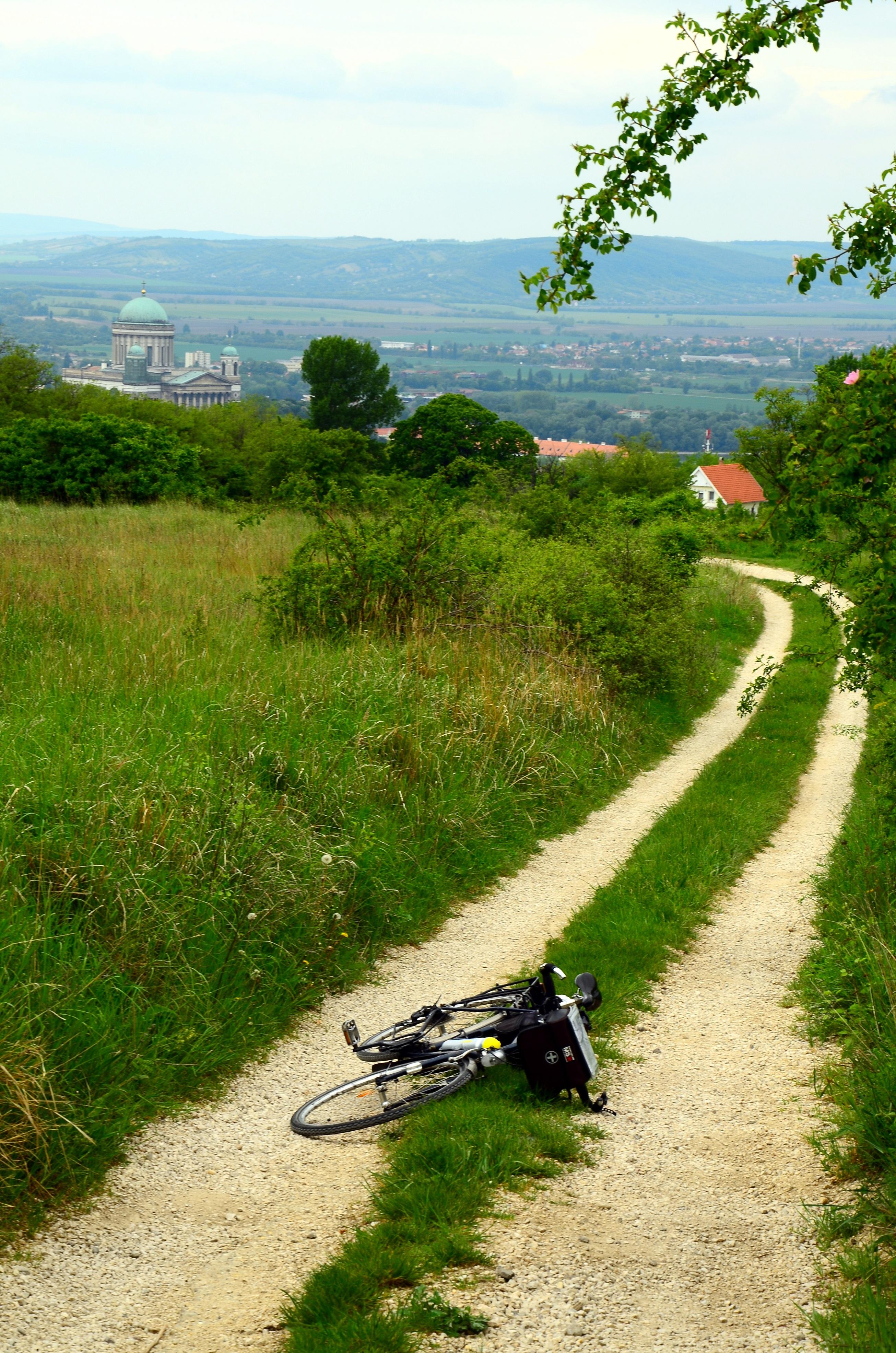 Widok na Esztergom