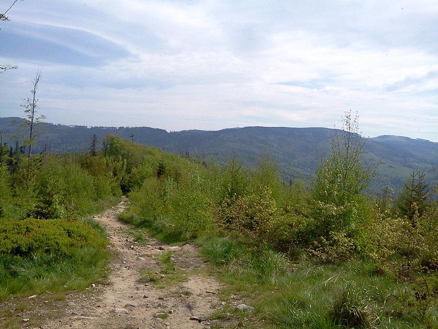 Widok na Malinów