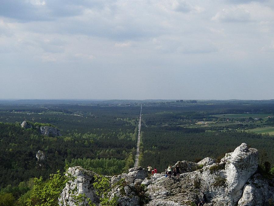 Widok na mega prostą drogę przez lasy