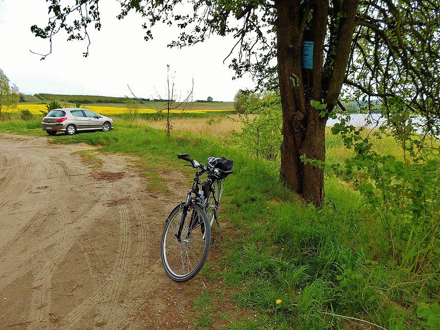 Majowa wycieczka rowerowa do lasu. Las Rokicki