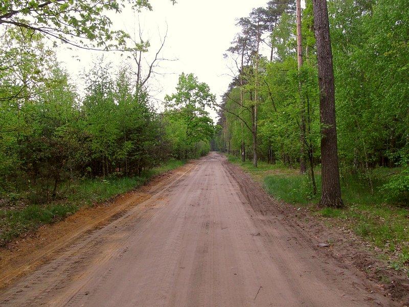 Droga Kołata - Wronczyn (prawie jak Australia)