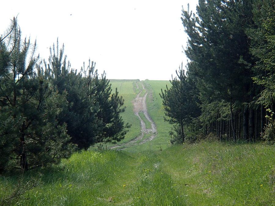 Podjazd przez pola