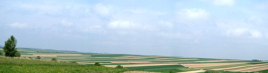 Panorama na jurajskie pola