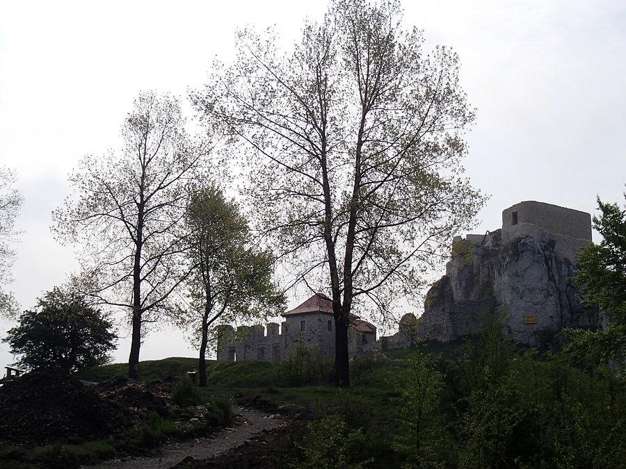 Widok na zamek w Rabsztynie