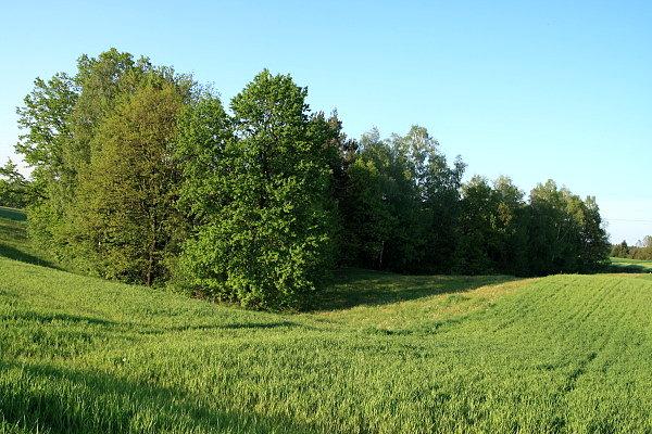 Maj nad Biegonicami