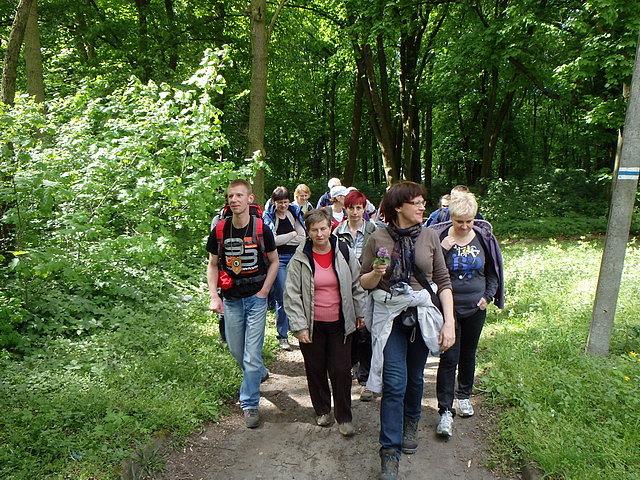 Niebieskim szlakiem przez rezerwat Ostrów Panieński