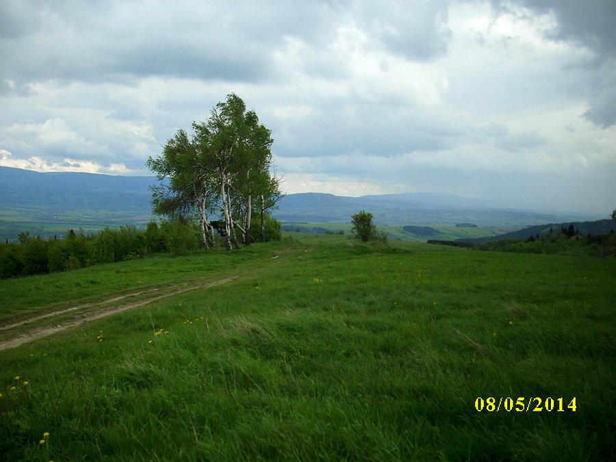 Widok spod Jedlnika