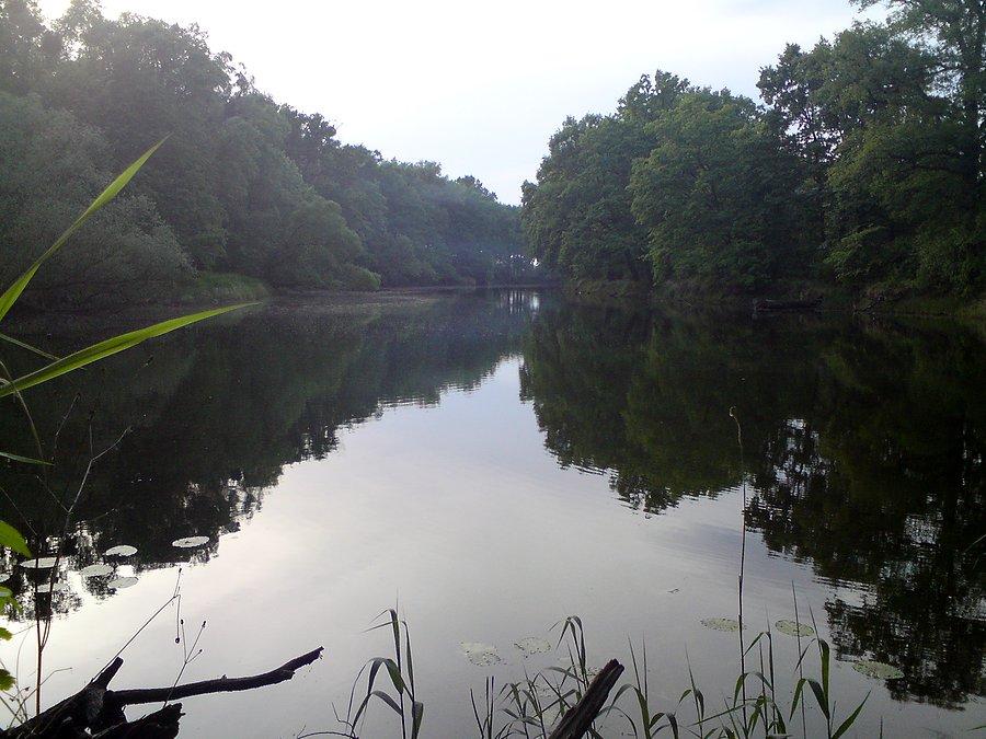 Staw Kamienny
