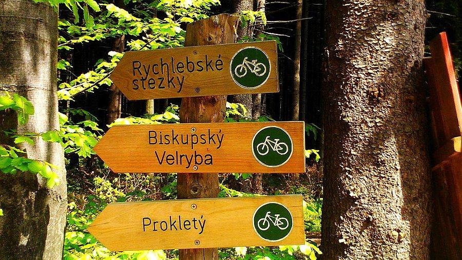 Rozdroże, którą drogę wybierze pionek