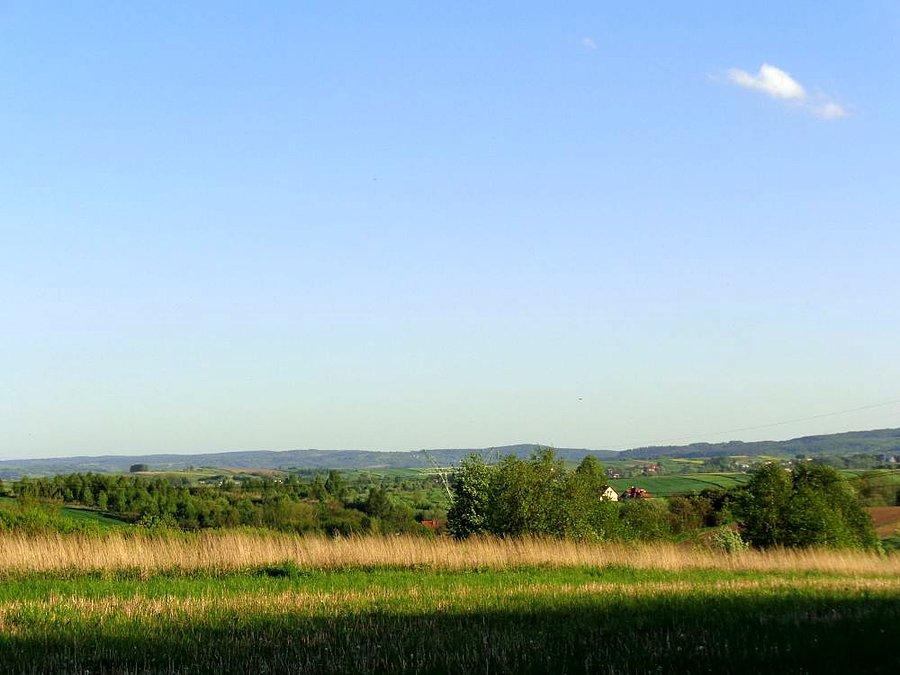 Pola, góry, lasy