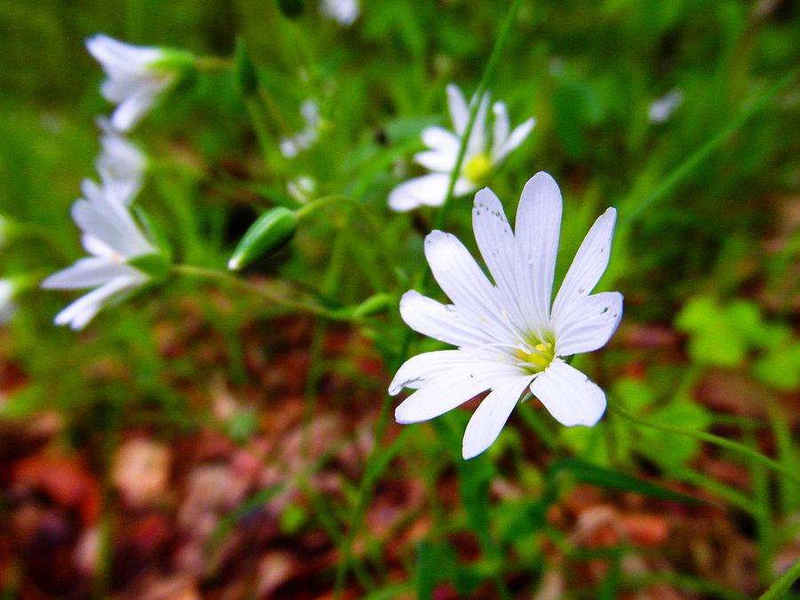 Takie macro