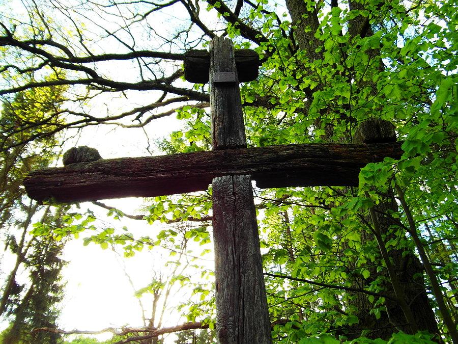 Ten widok mnie zaskoczył- krzyż przydrożny z 1934 roku-las rokicki