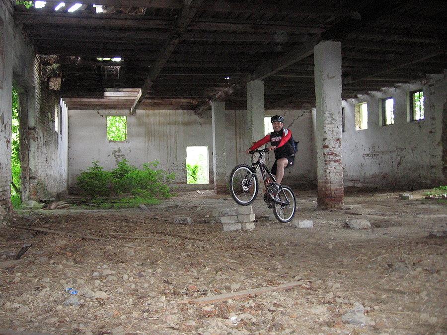 Indoor cycling trial, a w salonie rosną krzaki akacji