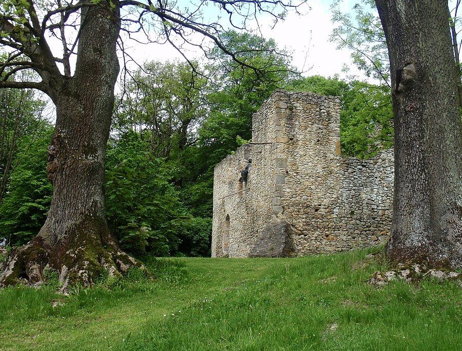 Zamek w Bąkowej Górze