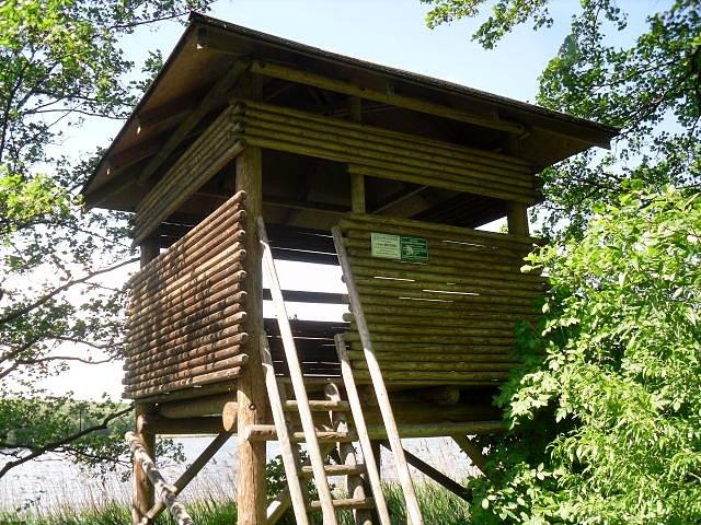 Platforma widokowa nad stawem