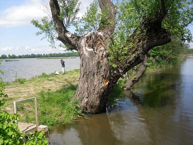 Grobla między stawami Salm Duży i Salm Mały