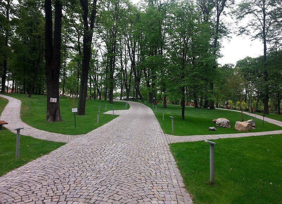 Okolice zamku w Petrovicach