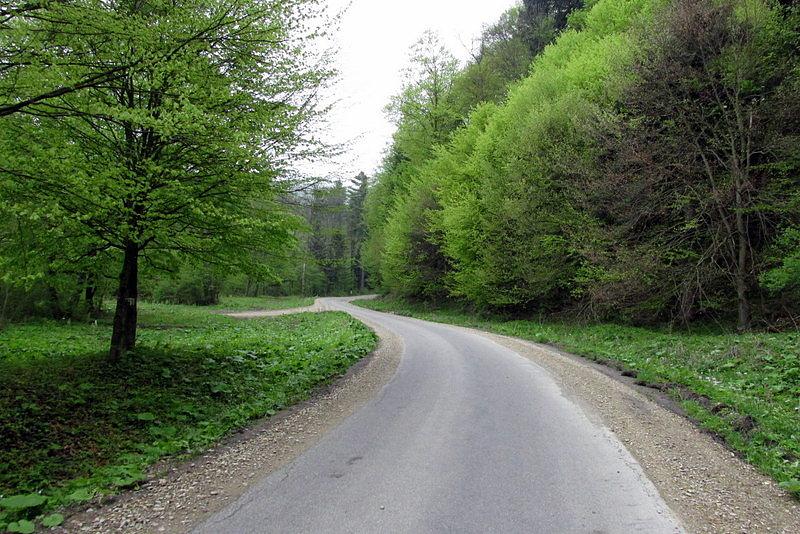 Podjazd do Arłamowa