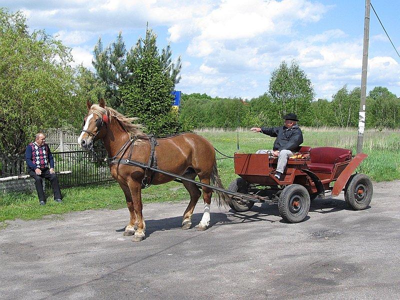 Bryczka konna to coraz rzadszy widok