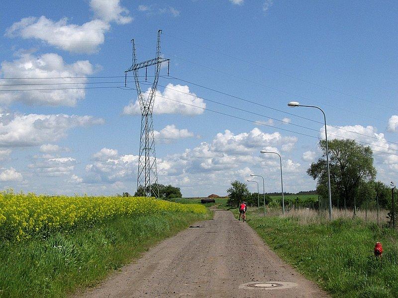 Droga polna z Uzarzewa do Biskupic