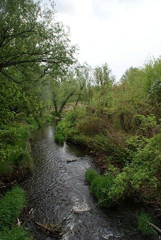 Rzeka Czarna