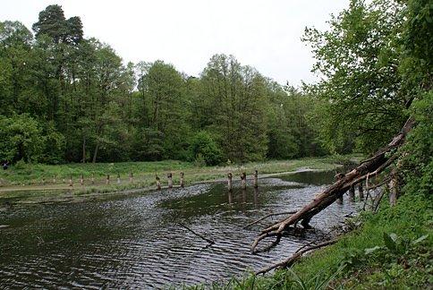 Po drugiej stronie stawu nad Gacią
