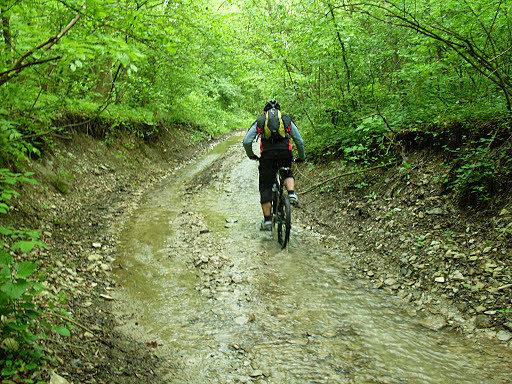 Wodne MTB na czerwonym szlaku
