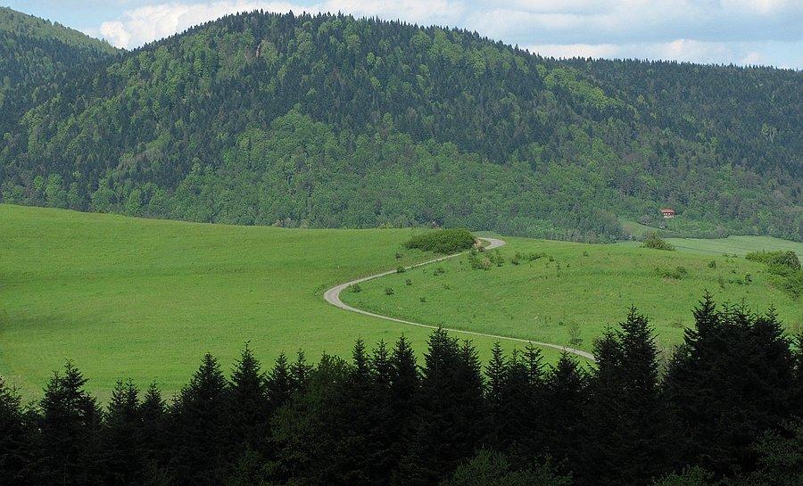 Podjeżdżałby!