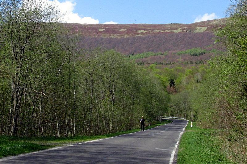 Połonina bieszczadzka