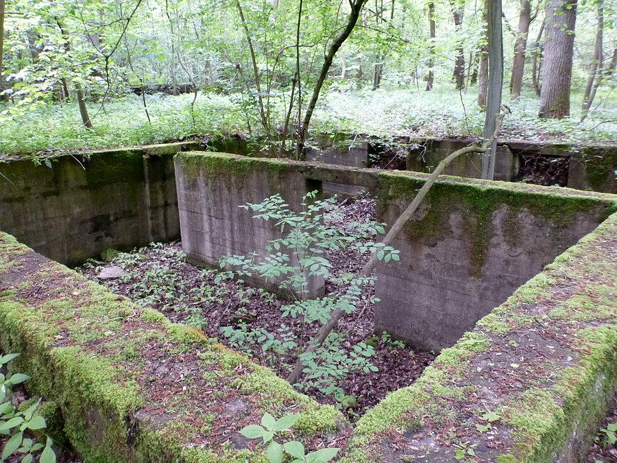 Ruiny Podburza 53°29'18.4"N 14°32'16.9"E