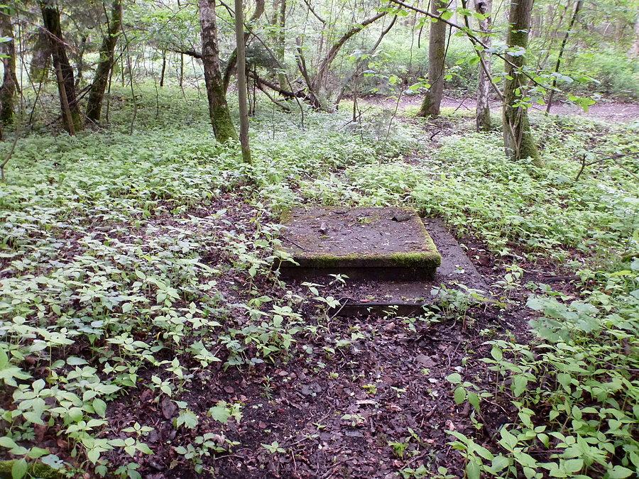 Ruiny Podburza 53°29'18.4"N 14°32'16.9"E