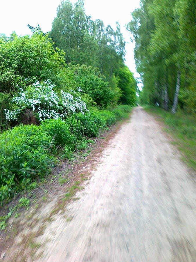 I tradycyjnie droga przez las