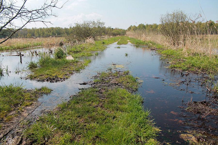 Międzynarodowa trasa R 11 pod Klukami